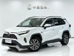Toyota RAV4 Rongfang 2023 2.0L CVT two-wheel drive 20th anniversary platinum commemorative edition - фото 1