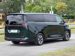 Lynk & Co LEVC L380 2024 140kWh 6-Seater AWD Ultra - фото 8