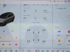 Li Auto Ideal L9 Max - фото 16