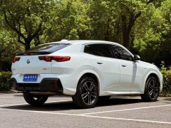 BMW X2 (Imported) sDrive25i M Sports Package - фото 5