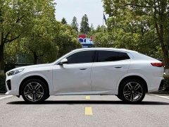 BMW X2 (Imported) sDrive25i M Sports Package - фото 8