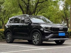 Lynk & Co Zhipao 2021 Ace 2.0L Wonderful Edition - фото 3