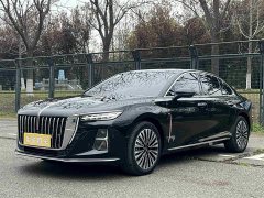 Hongqi H5 2.0T automatic Qichang version - фото 1