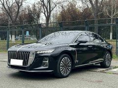 Hongqi H5 2.0T automatic Qichang version - фото 7