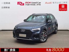 Audi Q5L 45th Anniversary Collector's Edition 40 TFSI Luxurious and Dynamic - фото 1