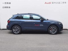 Audi Q5L 45th Anniversary Collector's Edition 40 TFSI Luxurious and Dynamic - фото 4