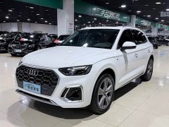 Audi Q5L 45 TFSI Luxury Dynamic - фото 1