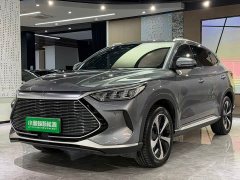 BYD Song PLUS New Energy 2021 DM-i 110KM Flagship PLUS - фото 1