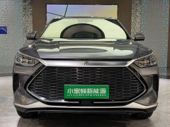 BYD Song PLUS New Energy 2021 DM-i 110KM Flagship PLUS - фото 2
