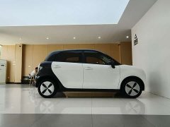 Lynk & Co Euler Black Cat 2022 301km basic ternary lithium - фото 3