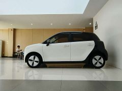 Lynk & Co Euler Black Cat 2022 301km basic ternary lithium - фото 4