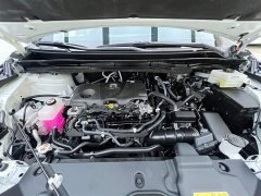 Toyota Grevia 2023 2.5L Hybrid Premium PLUS Edition - фото 6