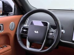Li Auto Ideal L9 2022 Max - фото 18