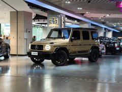 Mercedes-Benz G-Class G 350 - фото 1