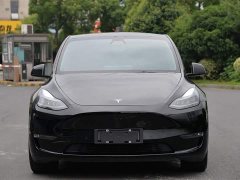Tesla Model Y long-range all-wheel drive version - фото 1