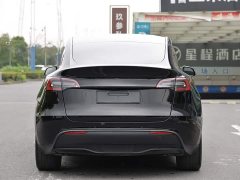 Tesla Model Y long-range all-wheel drive version - фото 3