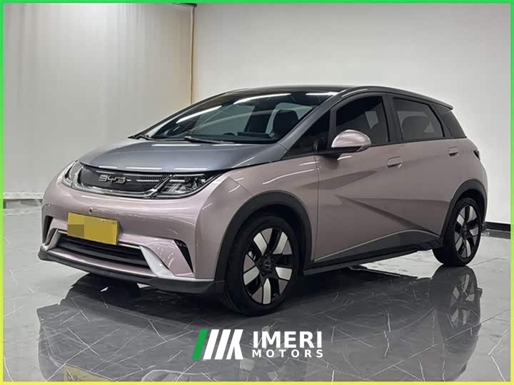 BYD Dolphin 2021 401km Knight Edition - автомобиль из Китая