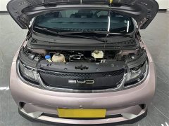 BYD Dolphin 2021 401km Knight Edition - фото 11