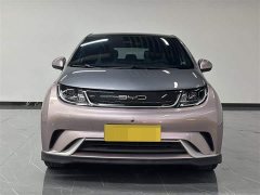 BYD Dolphin 2021 401km Knight Edition - фото 2