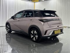 BYD Dolphin 2021 401km Knight Edition - фото 3