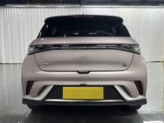 BYD Dolphin 2021 401km Knight Edition - фото 5