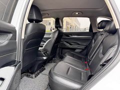 Haval H6 third generation 2.0T automatic two-wheel drive Max - фото 6