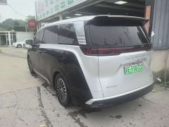 Denza D9 DM-i 980 four-wheel drive flagship - фото 11