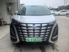 Denza D9 DM-i 980 four-wheel drive flagship - фото 2