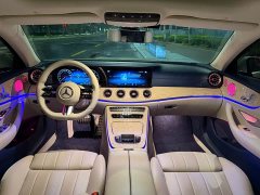 Mercedes-Benz E-Class (Imported) E 260 Coupe - фото 13