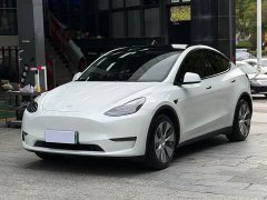Tesla Model Y long-range all-wheel drive version - фото 1