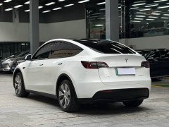 Tesla Model Y long-range all-wheel drive version - фото 13