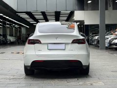 Tesla Model Y long-range all-wheel drive version - фото 14
