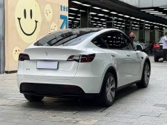 Tesla Model Y long-range all-wheel drive version - фото 15