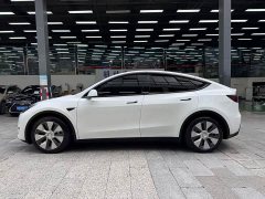 Tesla Model Y long-range all-wheel drive version - фото 16