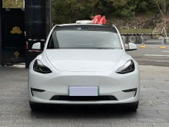 Tesla Model Y long-range all-wheel drive version - фото 2