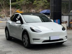 Tesla Model Y long-range all-wheel drive version - фото 3