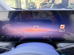 Lynk & Co Century 2.0T Seven-Seater Yunshi Edition - фото 12