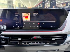 Lynk & Co Century 2.0T Seven-Seater Yunshi Edition - фото 16