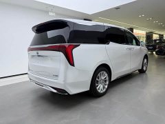 Lynk & Co Century 2.0T Seven-Seater Yunshi Edition - фото 3