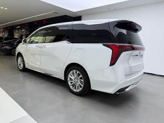 Lynk & Co Century 2.0T Seven-Seater Yunshi Edition - фото 4