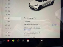 Tesla Model Y rear-wheel drive version - фото 13