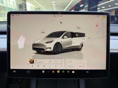 Tesla Model Y rear-wheel drive version - фото 17