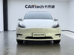 Tesla Model Y rear-wheel drive version - фото 2