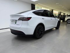 Tesla Model Y rear-wheel drive version - фото 3