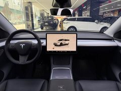 Tesla Model Y rear-wheel drive version - фото 9