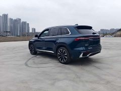 Geely Xingyue L 2021 2.0TD DCT EVO two-wheel drive premium - фото 10