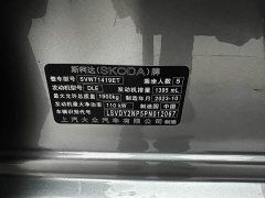 Lynk & Co Superb 2023 TSI280 DSG Exclusive Edition - фото 18