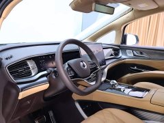 Denza D9 DM-i Intelligent Driving Edition 1020 AWD Premium - фото 11