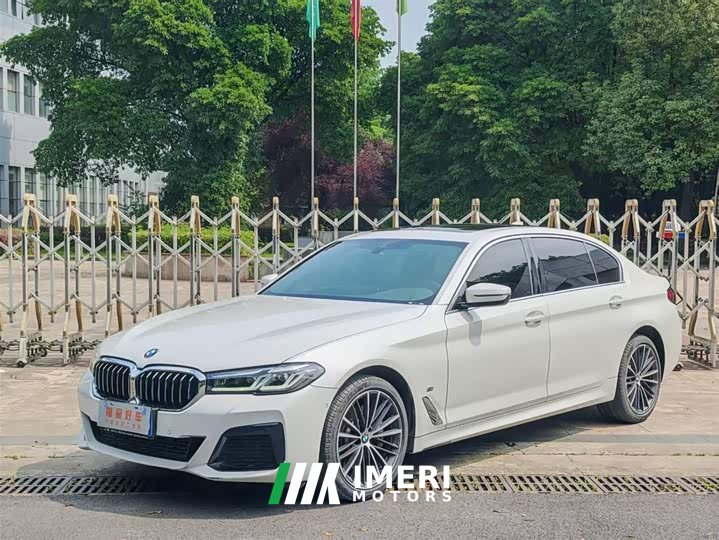 BMW 5 Series 530Li Leading M Sports Package - автомобиль из Китая
