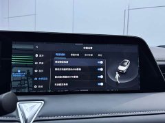 Lynk & Co Venucia V 260T Dark Horse Edition Pro - фото 13
